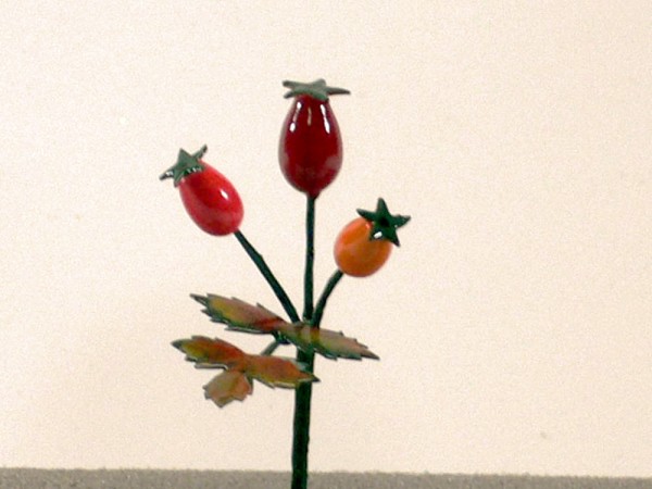 Herbstfrucht Hagebutte