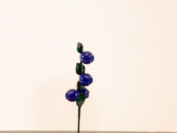 Herbstfrucht Heidelbeere