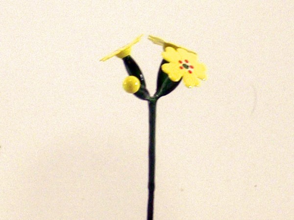 Frühlingsblume Himmelschlüssel