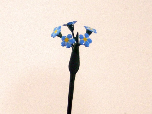 Wiesenblume Kornblume