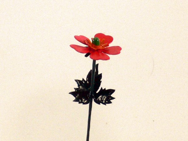 Frühlingsblume Geum