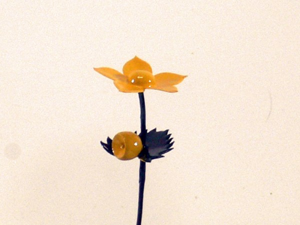 Wiesenblume Sumpfdotterblume