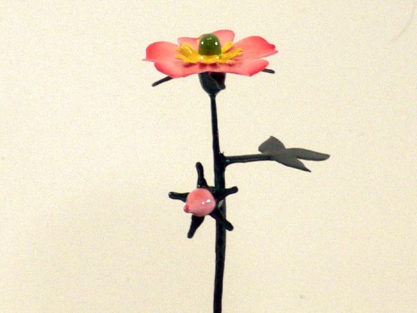 Sommerblume Heckenrose