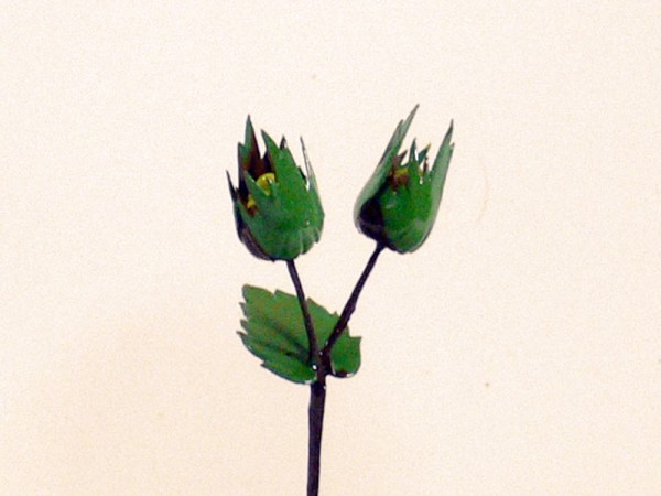 Herbstfrucht Haselnuß