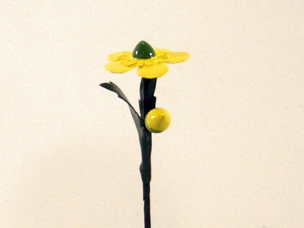 Feldblume Butterblume