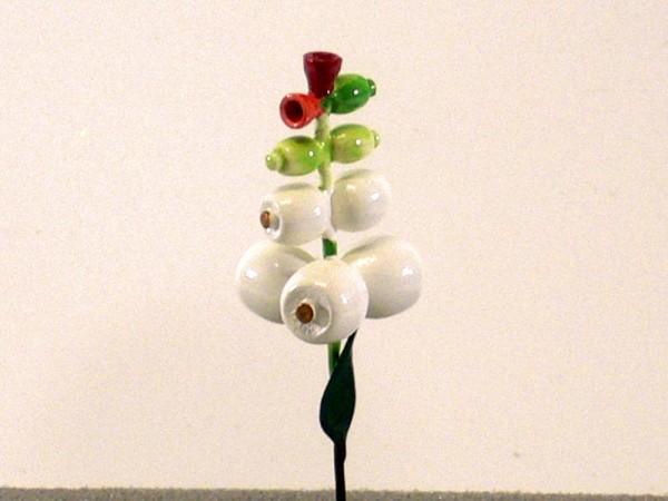 Herbstfrucht Schneebeere